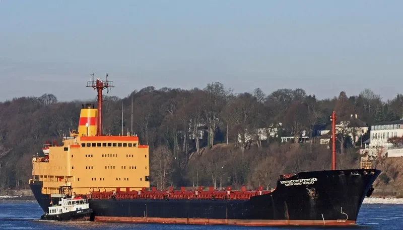 CAPT.GIORGIOS Bulk Carrier IMO 7919834 photo 2