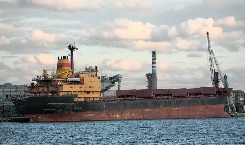 CAPT.GIORGIOS Bulk Carrier IMO 7919834 photo 8