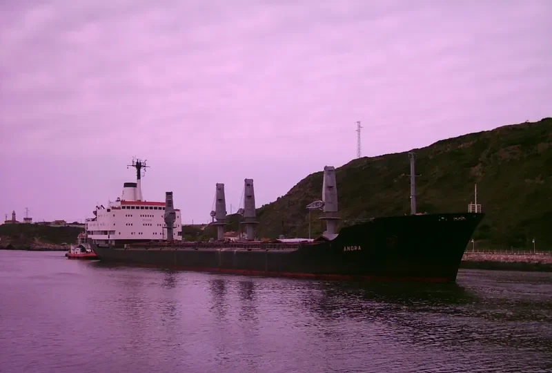 ANDRA Bulk Carrier IMO 7919846 photo 5