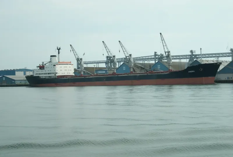 ANDRA Bulk Carrier IMO 7919846 photo 6