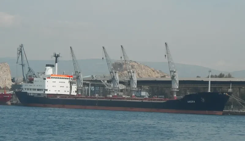 ANDRA Bulk Carrier IMO 7919846 photo 8