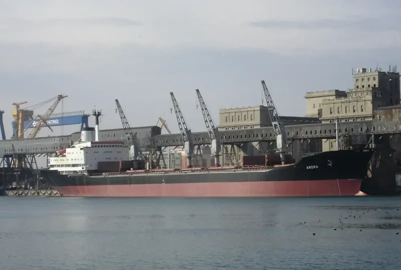 ANDRA Bulk Carrier IMO 7919846 photo 10
