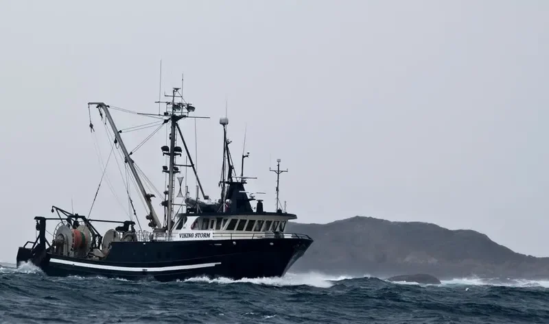 VIKING STORM General Cargo IMO 7919858 photo 5