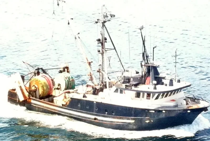 VIKING STORM General Cargo IMO 7919858 photo 6