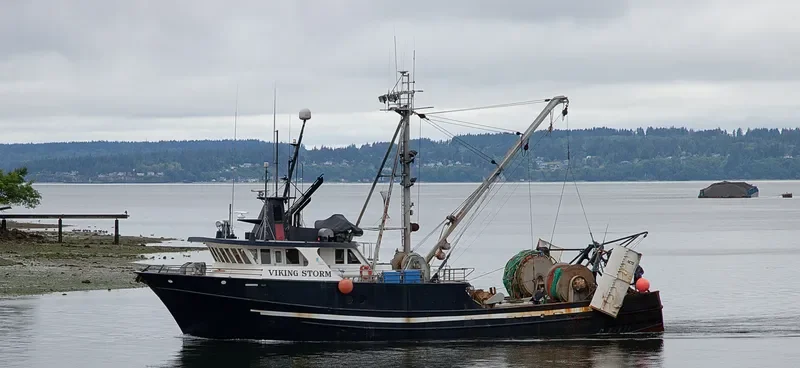 VIKING STORM General Cargo IMO 7919858 photo 8