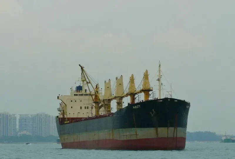 OPAL II Bulk Carrier IMO 7920027