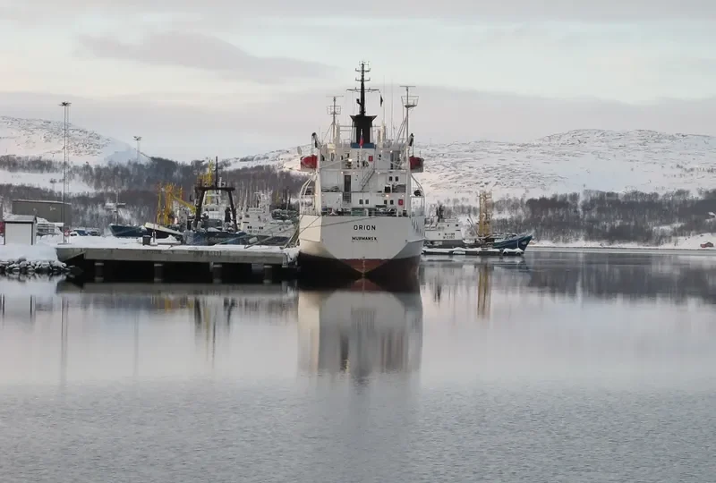 ORION General Cargo IMO 7920546 photo 8