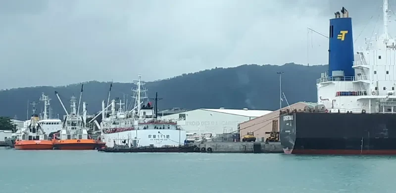 SHENG HONG General Cargo IMO 7920869