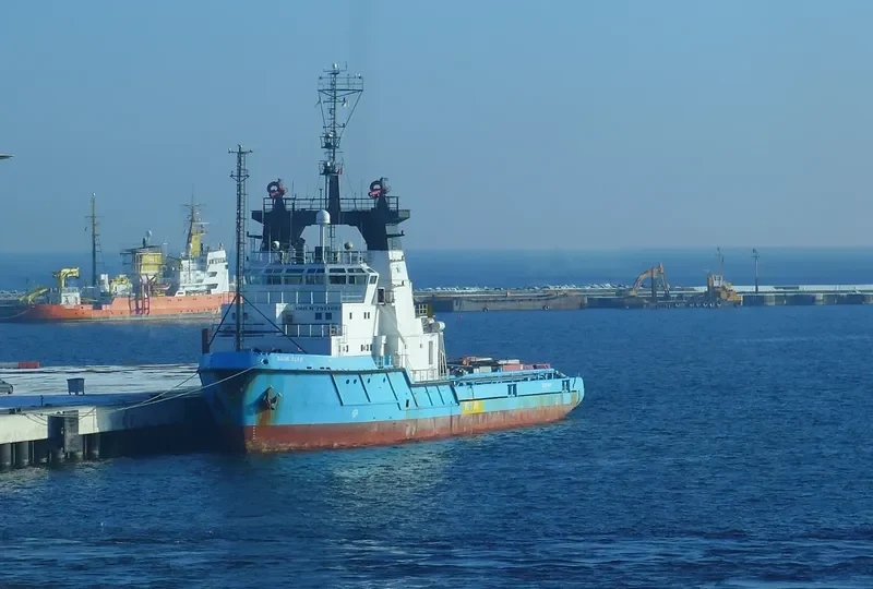 BLUE ALFA General Cargo IMO 7921007 photo 4