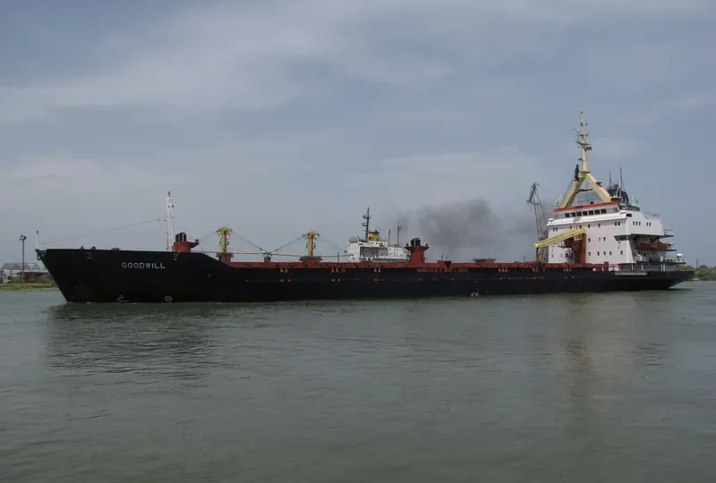 GOODWILL General Cargo IMO 7921045 photo 2