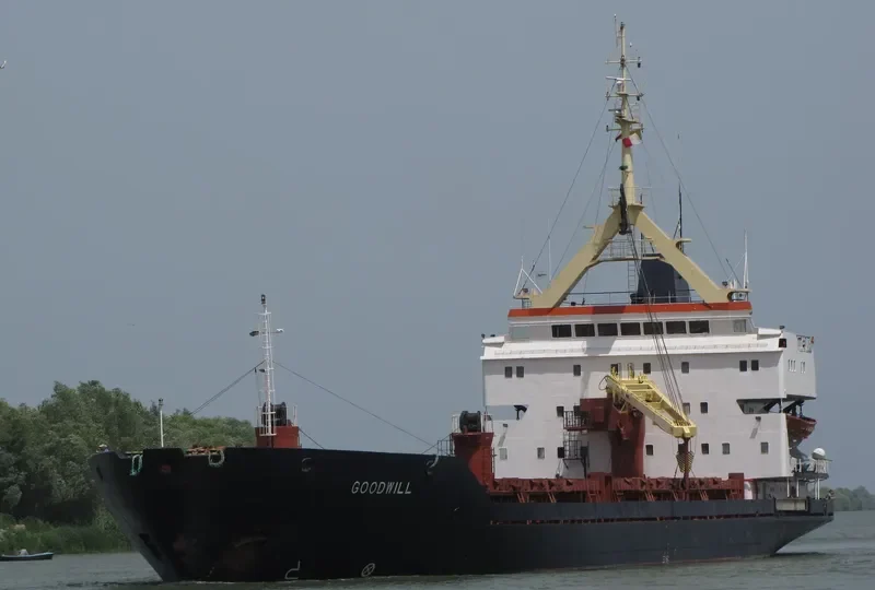 GOODWILL General Cargo IMO 7921045 photo 3