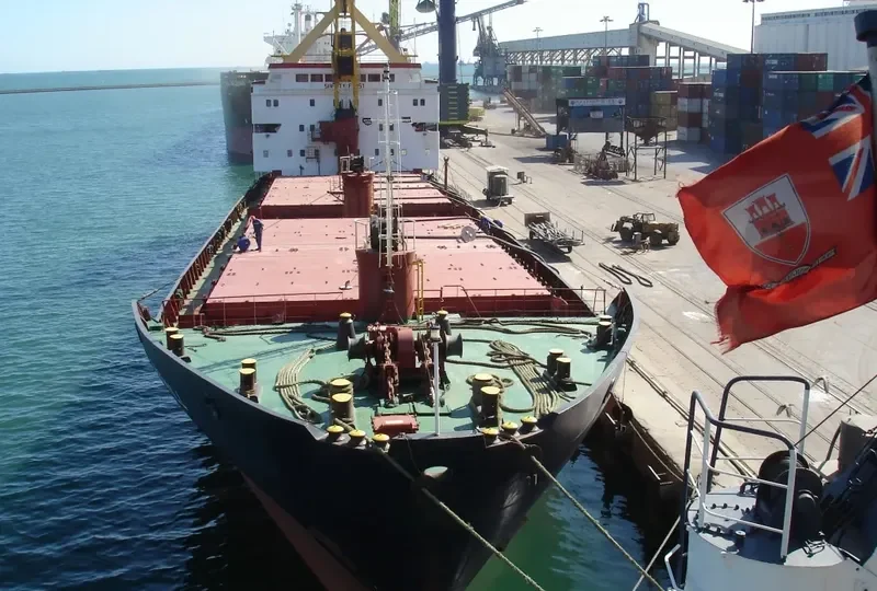 GOODWILL General Cargo IMO 7921045 photo 4