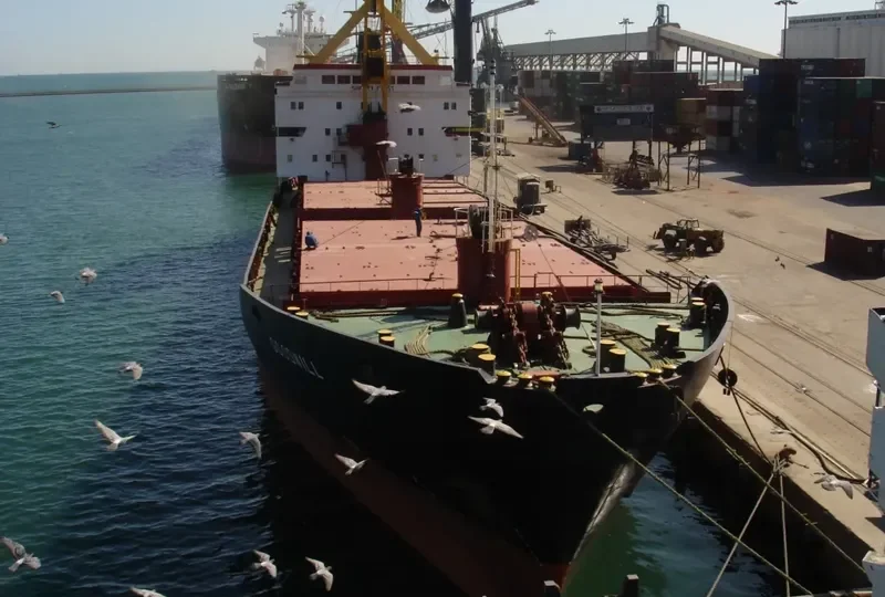 GOODWILL General Cargo IMO 7921045 photo 5