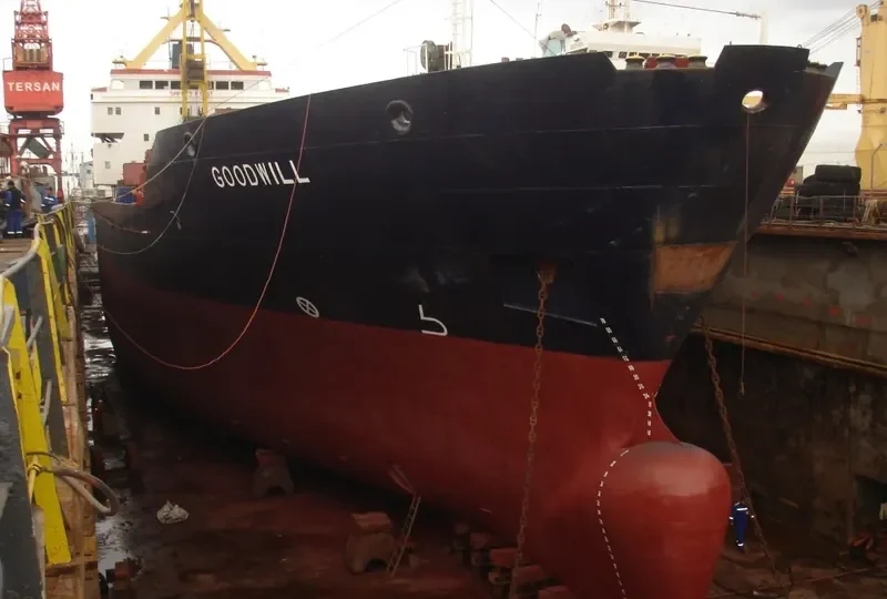 GOODWILL General Cargo IMO 7921045 photo 6