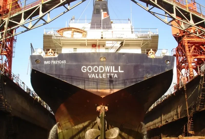 GOODWILL General Cargo IMO 7921045 photo 7