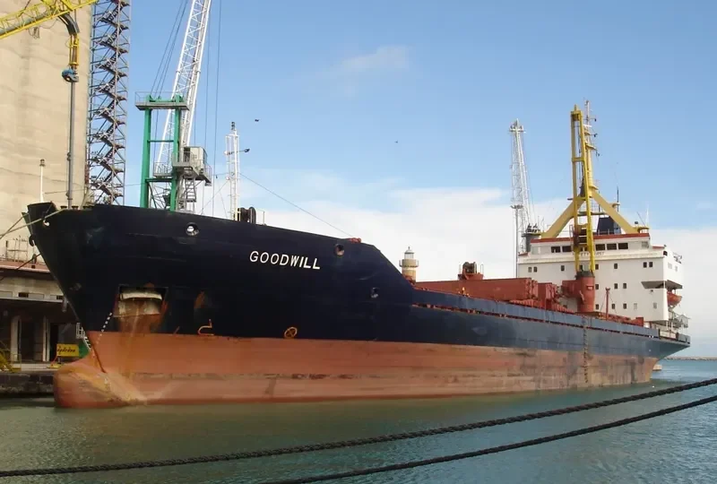 GOODWILL General Cargo IMO 7921045 photo 8