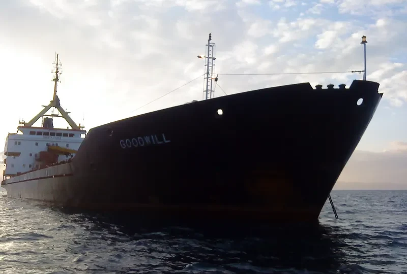 GOODWILL General Cargo IMO 7921045 photo 9