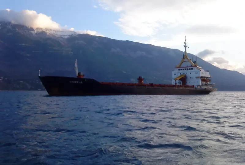 GOODWILL General Cargo IMO 7921045 photo 10
