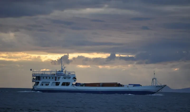 MELINA III Ro-Ro IMO 7921069 photo 6