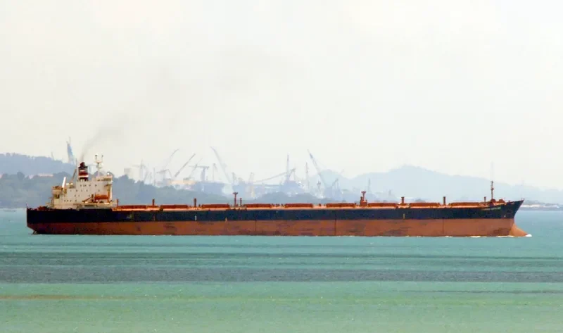 INTEGRA DUCKLING Bulk Carrier IMO 7921837 photo 2
