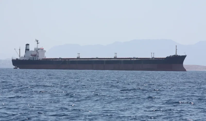 SVYATOY IOAN Bulk Carrier IMO 7922104 photo 4
