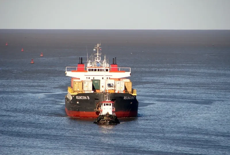 ASUNCION B Container Ship IMO 7922116 photo 2