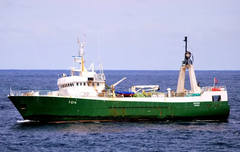 BAOBAB General Cargo IMO 7922283 photo 5