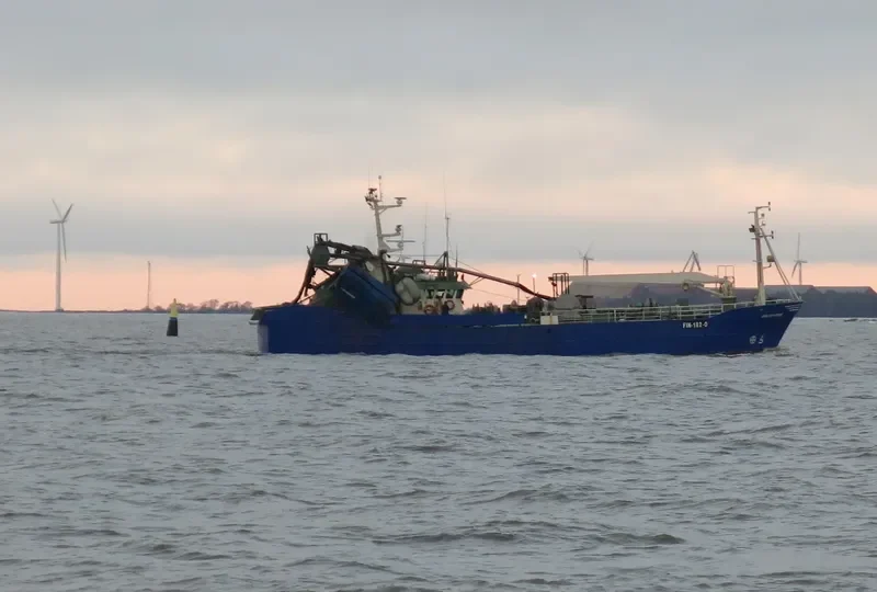 GOLDEN ROSE General Cargo IMO 7922415 photo 2