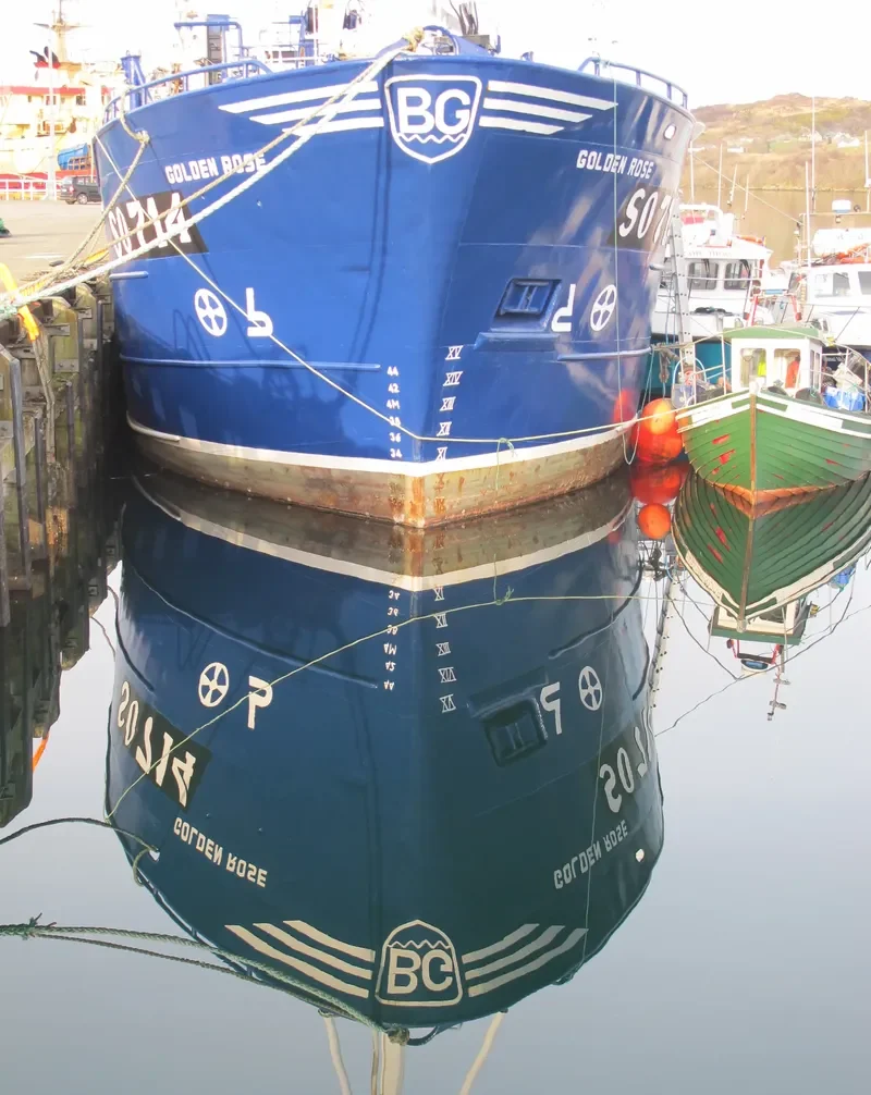 GOLDEN ROSE General Cargo IMO 7922415 photo 6