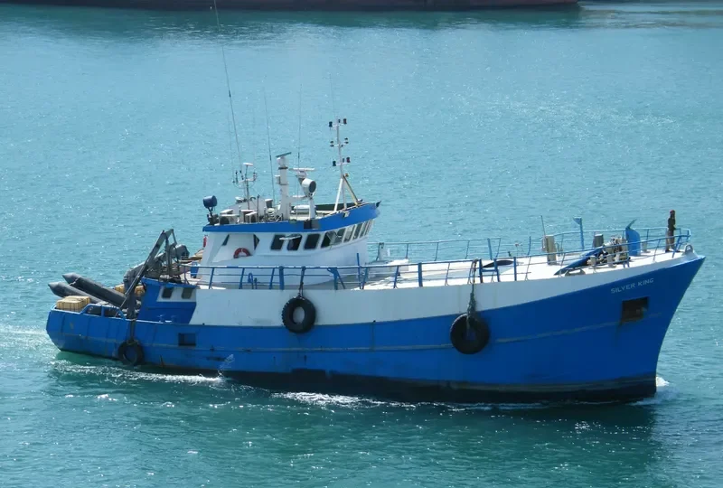 SILVER KING General Cargo IMO 7922491 photo 5