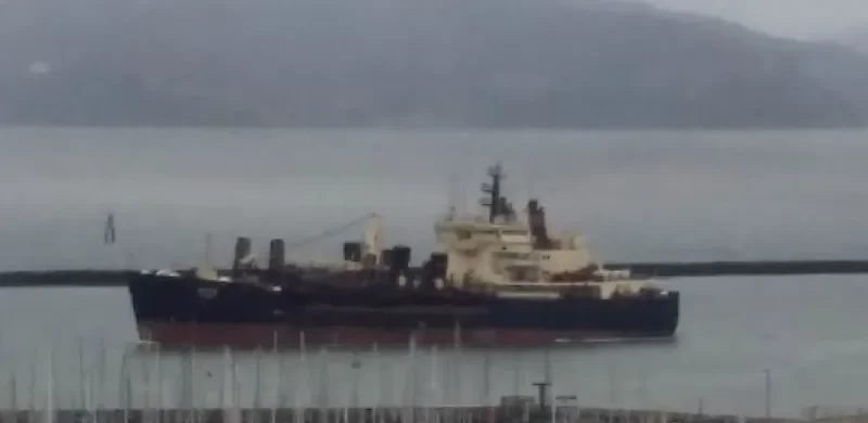 ESSAYONS General Cargo IMO 7923495 photo 6