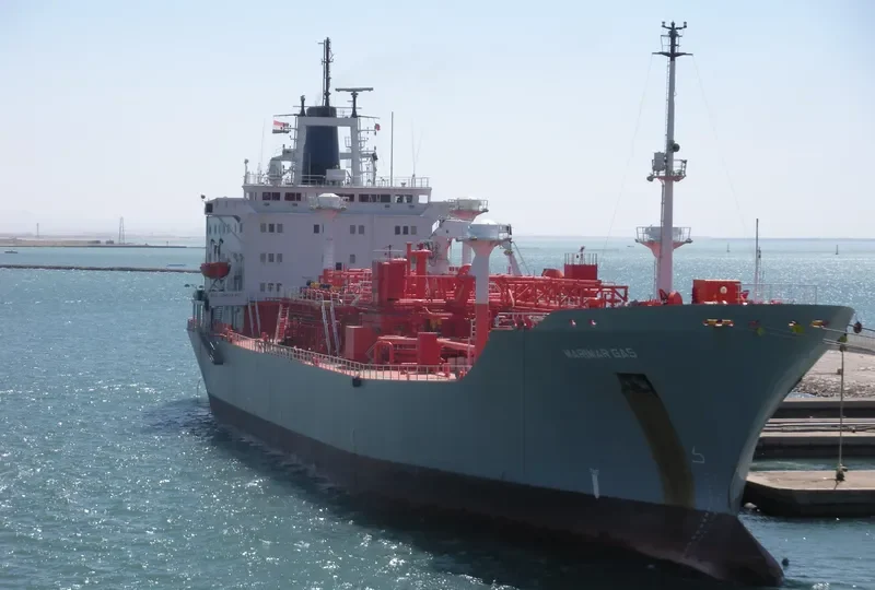 MARIMAR GAS General Cargo IMO 7924035 photo 6
