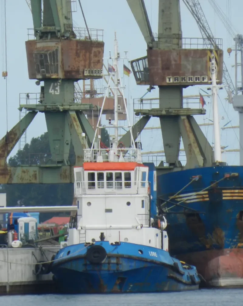 MORE General Cargo IMO 7924243 photo 9