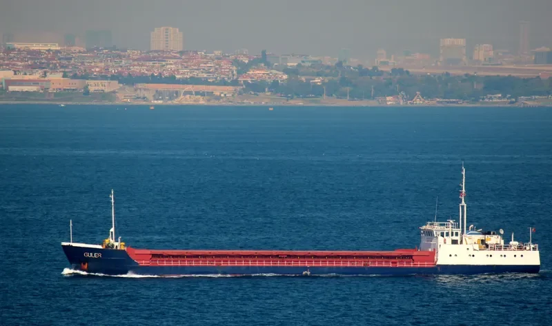 GULER ONE General Cargo IMO 7924334 photo 5