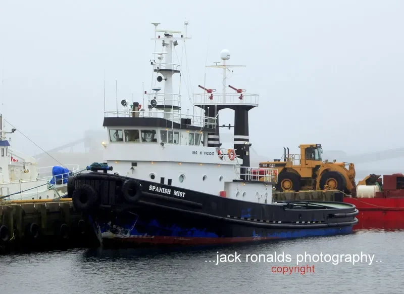 SPANISH MIST General Cargo IMO 7925247 photo 6