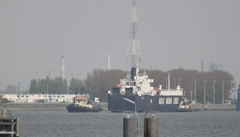 CITY OF SIDON Ro-Ro IMO 7925273 photo 6