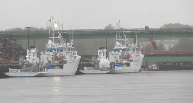 FREEDOM STAR General Cargo IMO 7925314 photo 9