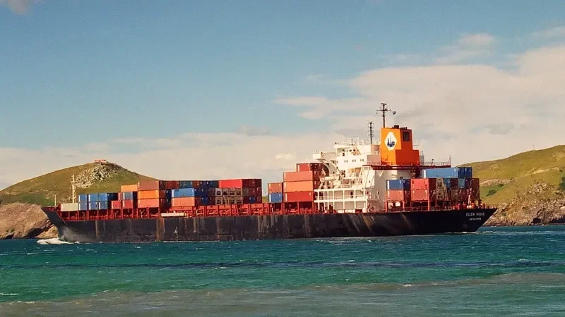 MSC GIANNA Container Ship IMO 7925493 photo 2