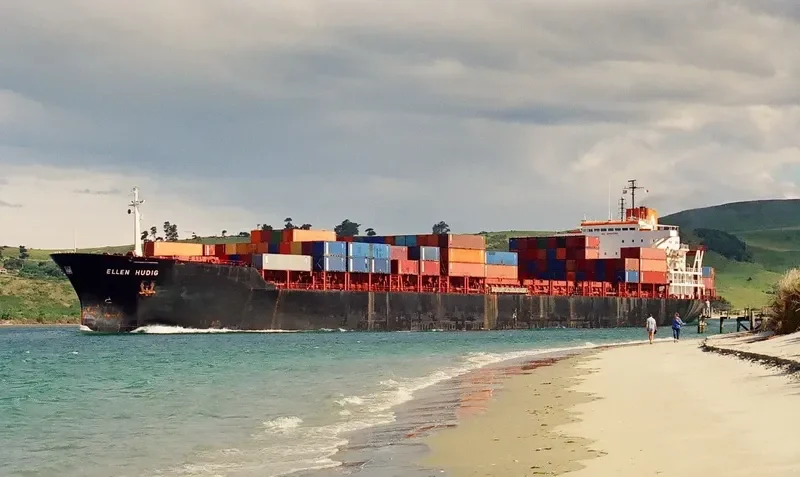 MSC GIANNA Container Ship IMO 7925493 photo 3