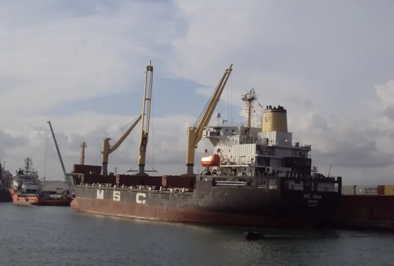 MSC GIANNA Container Ship IMO 7925493 photo 5