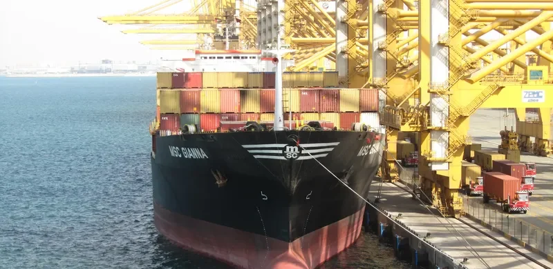 MSC GIANNA Container Ship IMO 7925493 photo 6