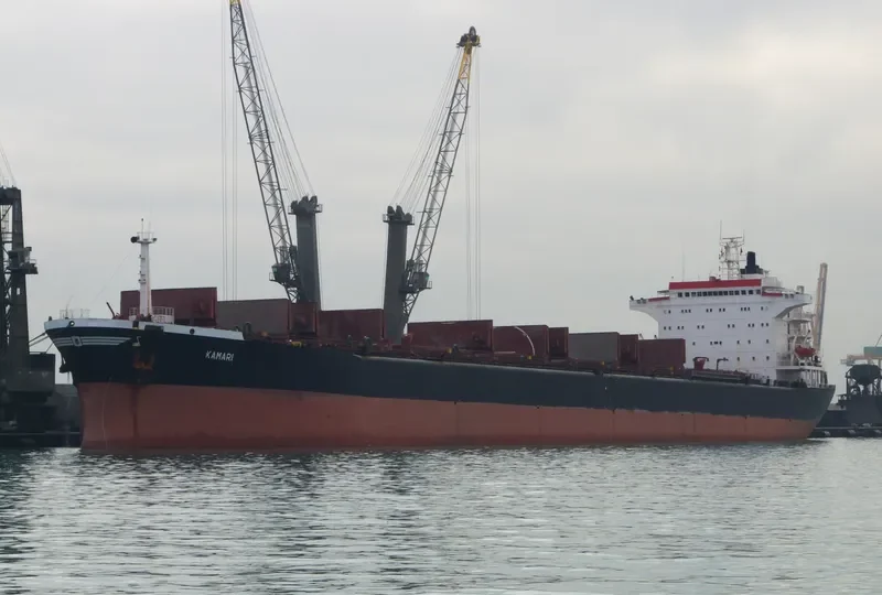 KARADENIZ POWERSHIP KAYA BEY Container Ship IMO 7925546 photo 4