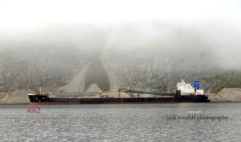 PIONEER Bulk Carrier IMO 7925613