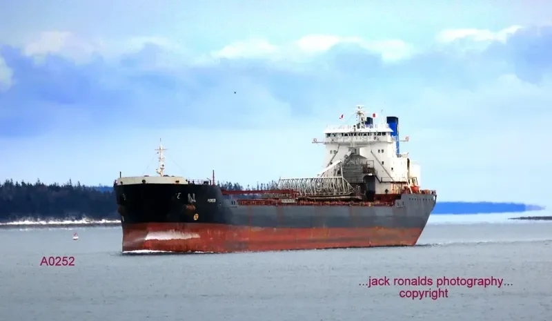 PIONEER Bulk Carrier IMO 7925613 photo 7