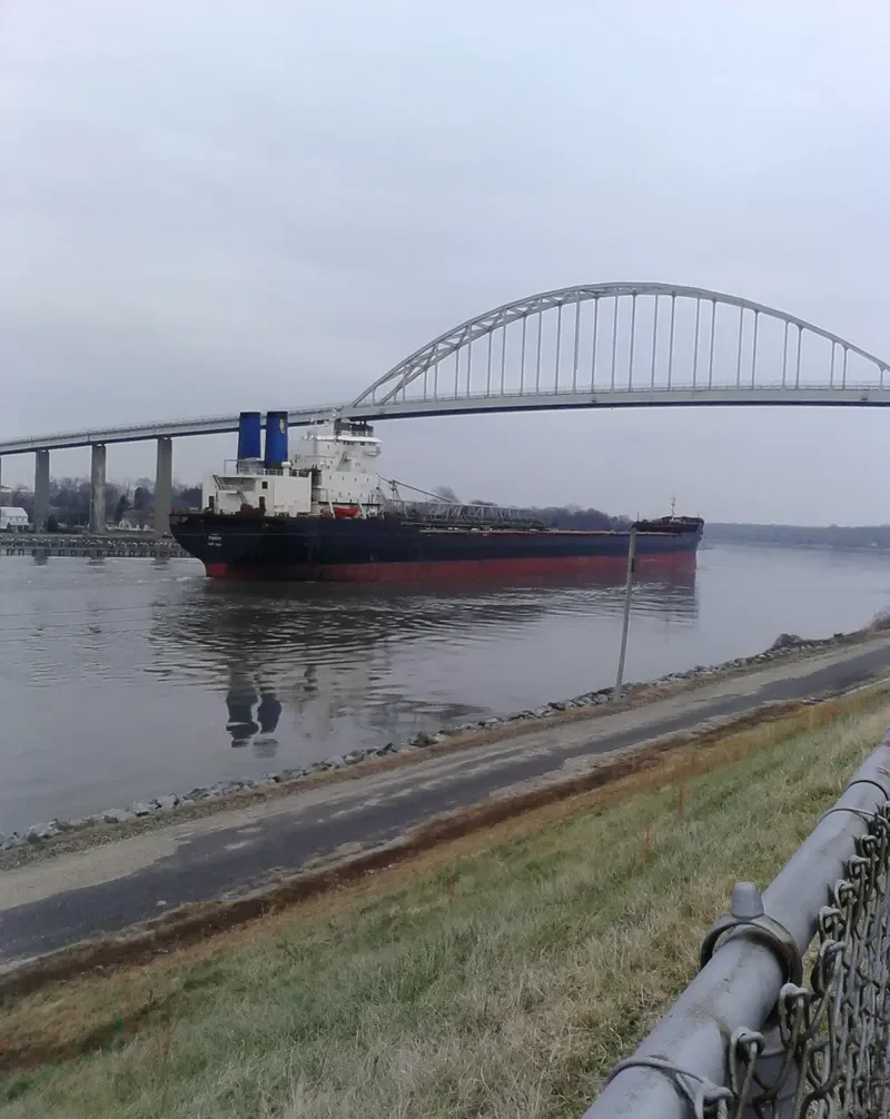 PIONEER Bulk Carrier IMO 7925613 photo 8