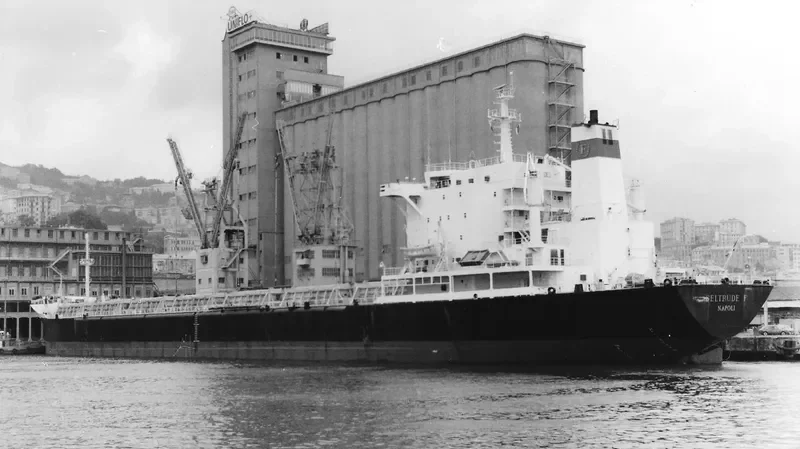 FLORIN Bulk Carrier IMO 7925869 photo 2