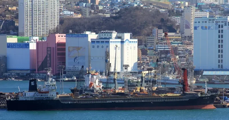 K NO.9 General Cargo IMO 7926045