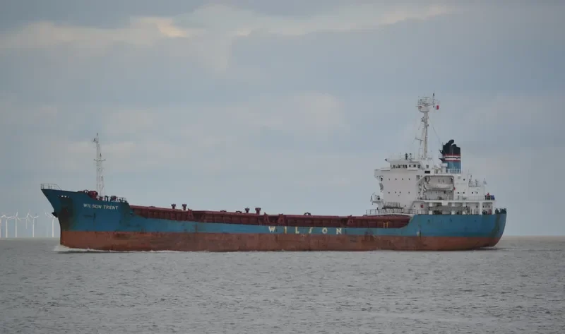 MAYA S General Cargo IMO 7926095 photo 2