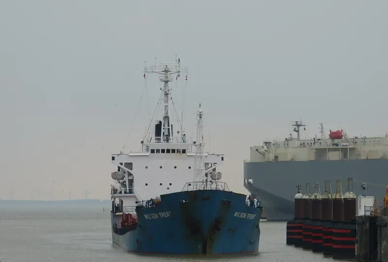 MAYA S General Cargo IMO 7926095 photo 5