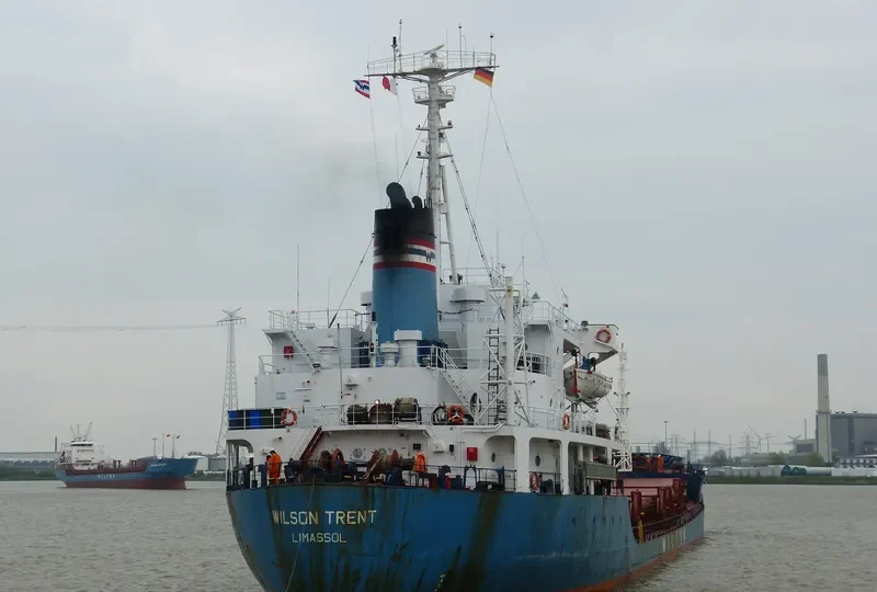 MAYA S General Cargo IMO 7926095 photo 7